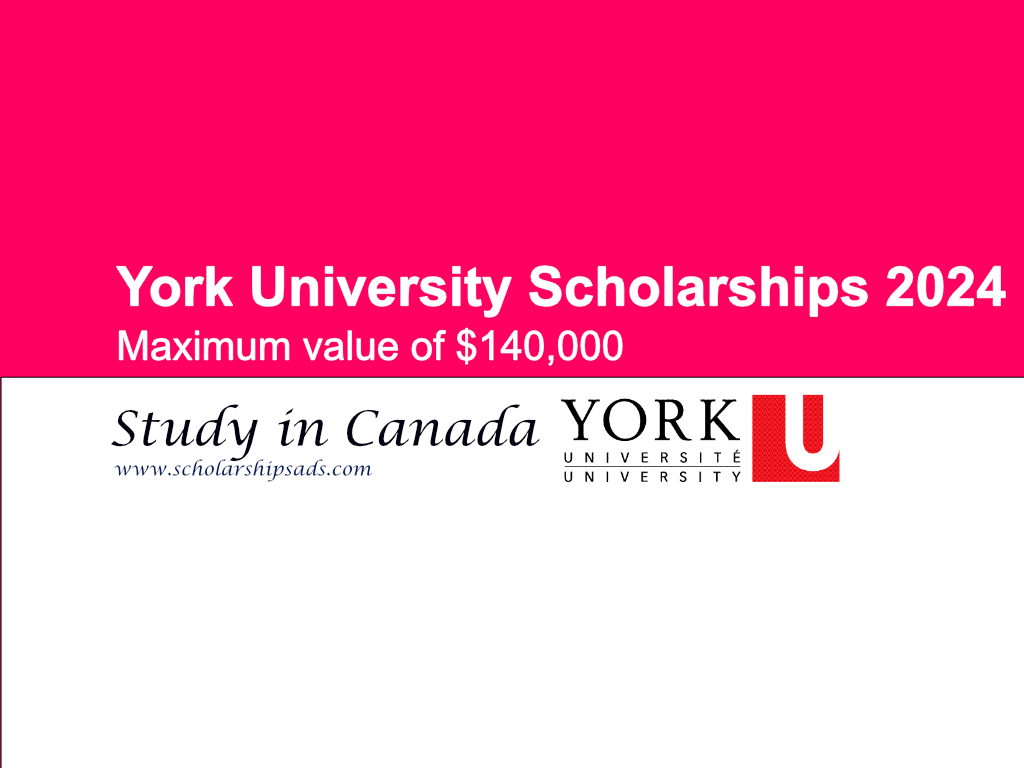 York Uni Scholarship 2024 